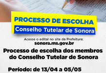 Conselho Tutelar de Sonora realiza processo de escolha de novos membros