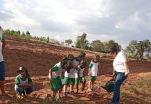 Projeto Rural Sustentável Cerrado: Irma Araldi Kohl Extensão Maria Enedina Gonçalves Pereira, recebe prêmio de R$ 8 mil