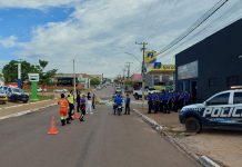 Ação em Sonora conscientiza população sobre caça e atropelamento de animais silvestres